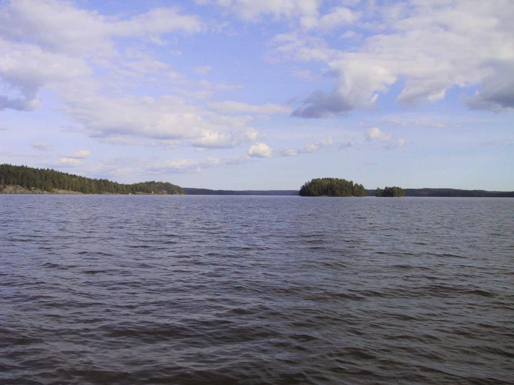 Alusveden ja harppauskerroksen happipitoisuus parantunut viime vuosina Sulkasääsken toukkia vähemmän Jäännemassiaisia