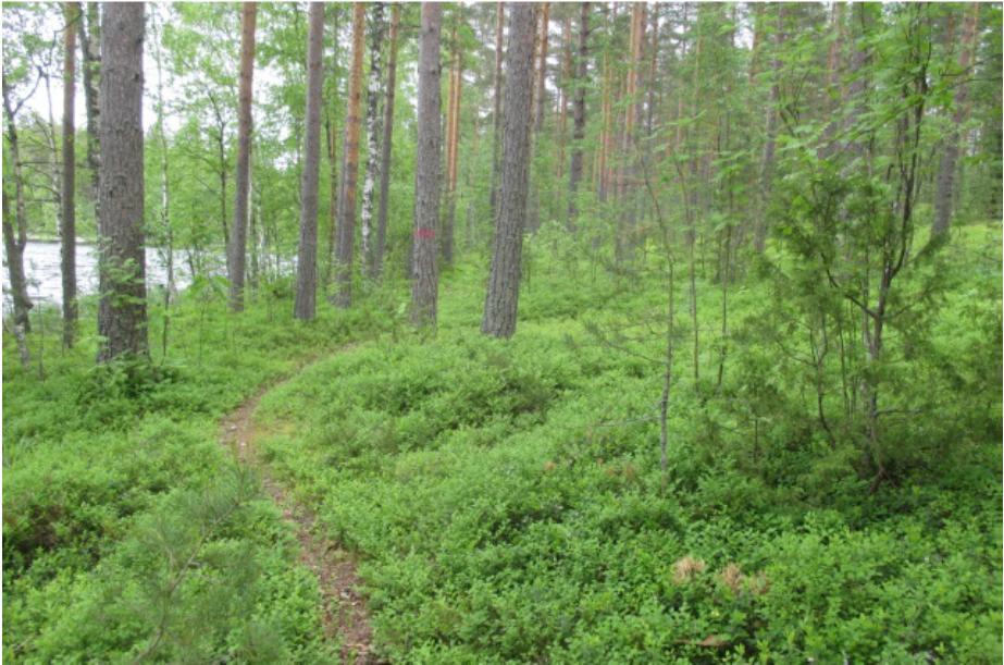 Päiviösaaren lähiympäristö muodostuu mantereen ja Pienen Jänkäsalon saaren välisestä sokkeloisesta vesistöalueesta, jota täplittävät useat pienet saaret ja luodot.