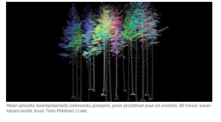 Laserkeilaus puista 3D