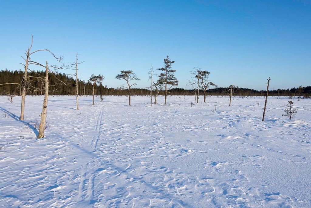 Suoluonto (ehdotus 1) MTK-Satakunta Soidensuojelun täydennysehdotuksen yksityismaakohteiden jättäminen pois kaavasta hyvä ratkaisu SLL Pirkanmaa Valtakunnallisesti arvokkaat