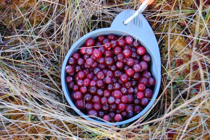 turvetuotantoalueiden ulkopuolisille alueille on jatkossakin