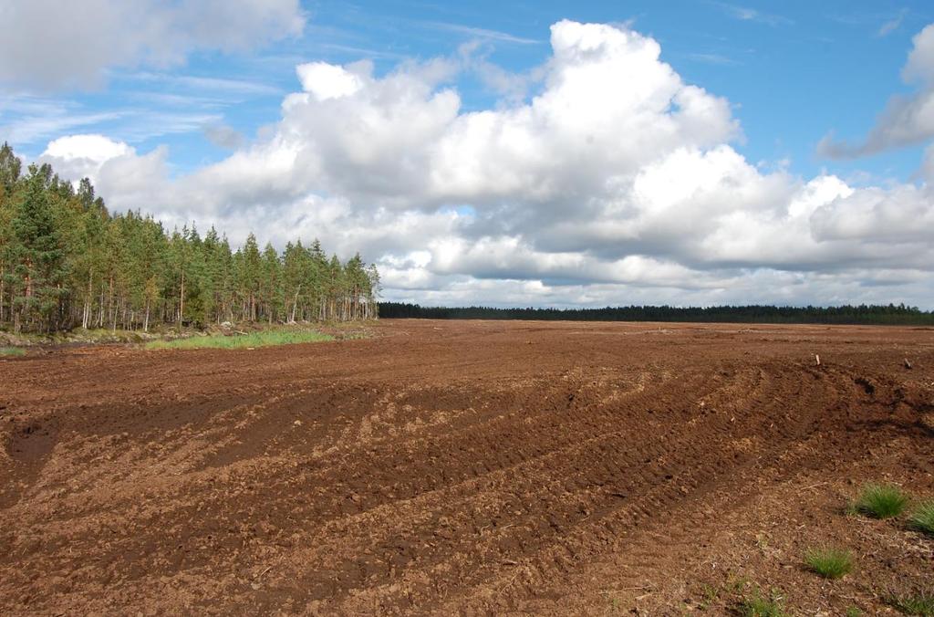 Turvetuotanto / poimintoja lausunnoista (ehdotus 1) VAR ELY Ehdottaa täydennystä turvetuotantoalueiden suunnittelumääräykseen Turvetuotantoalueiden käyttöönoton suunnittelussa, ajoittamisessa ja