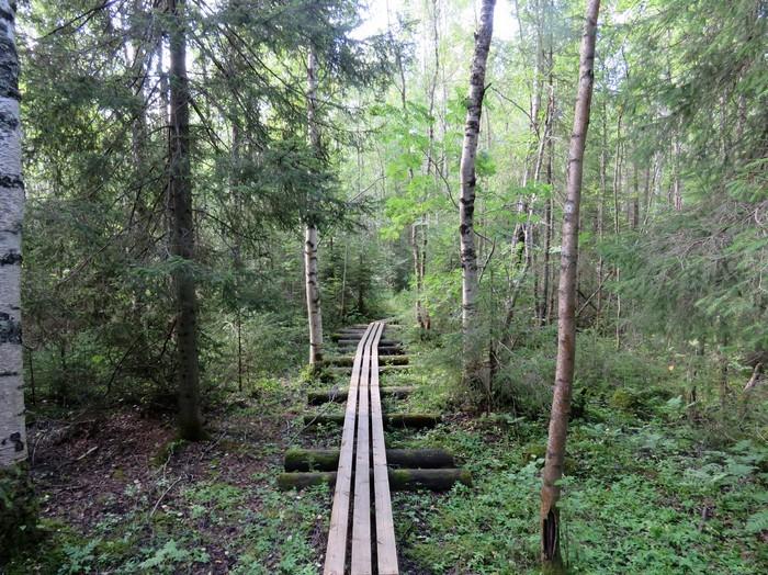 Sortunut renkkusilta kaava-alueen länsipuolella. Siltatyyppi oli vielä 1900-luvun alkupuolella yleisesti käytössä esim. kapeilla jokiuomilla. 4. Alueen aiempi maankäyttö.