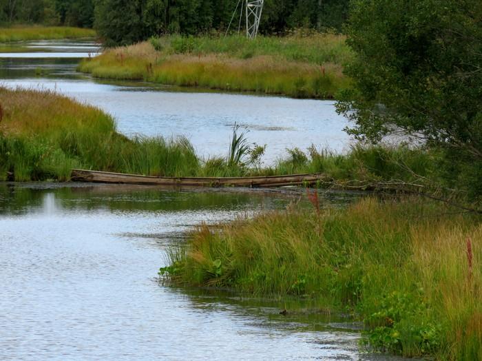 Koivuluodon rantaniittyjä käytettiin todennäköisesti 1800-1900-luvuilla karjan laidunmaana.