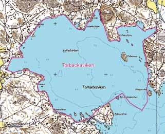 Maakunnallisesti tärkeät lintualueet joutsen (160 240).