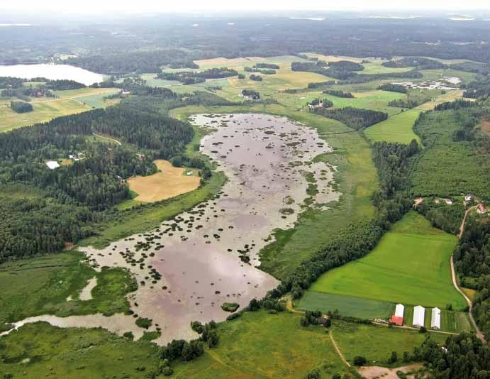 Pesimäalue: taivaanvuohi (8 10), punajalkaviklo (4 6), keltavästäräkki (21 33), kirjokerttu (1 4, häviämässä), pikkulepinkäinen (5 8); lisäksi huomattava määrä niittykirvisiä (21 33)