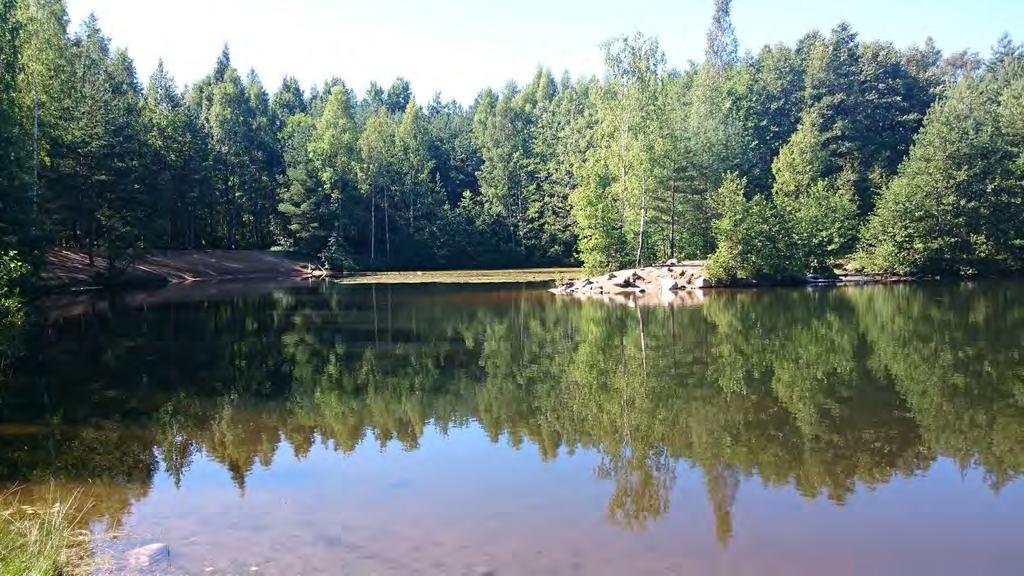 Jakomäen Sydänlampi Mietintään Lampien kalasto? Vieraslajit (kasvit)?