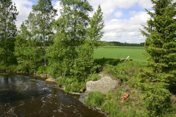 kysyttyä Meri, lähde, viemäri