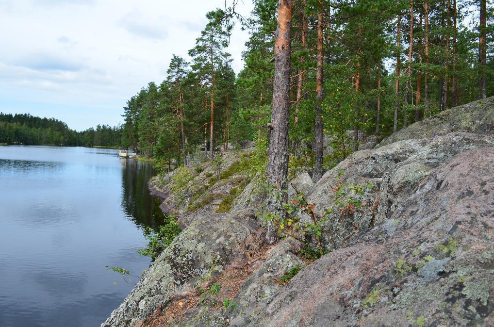 KANKAANPÄÄN KAUPUNKI Kankaanpään kaupungin Karhoismajan