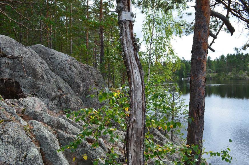 7 Pikku-Made ranta-asemakaava 3:n muutoksen selostus (kaavaehdotus) Kaupunkisuunnittelukeskus 06.11.2018 3 LÄHTÖKOHDAT 3.1 Selvitys suunnittelualueen oloista 3.1.1 Alueen yleiskuvaus Kaava-alue sijaitsee Pikku-Mateen pohjoisrannalla.