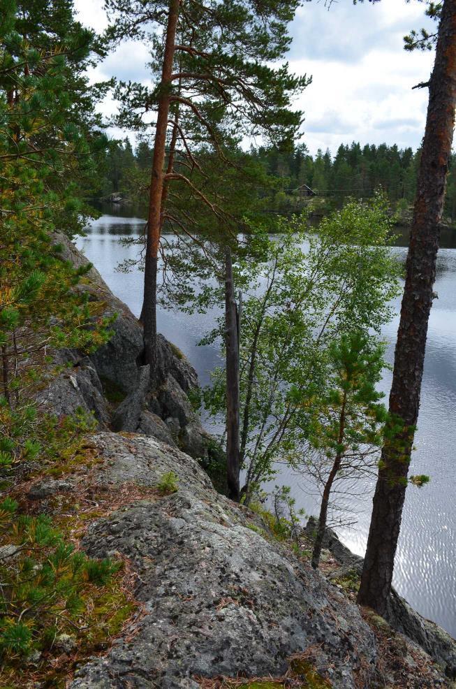 8 Pikku-Made ranta-asemakaava 3:n muutoksen selostus