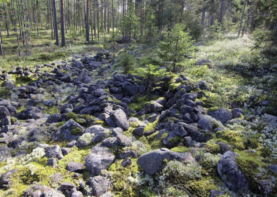8 on röykkiö, muut ovat kuoppia, jotka melkein kaikki ovat mahdollisia avattuja hautoja. Noin 140 metriä pitkässä ja n.