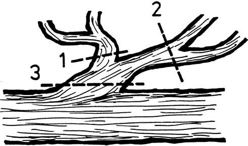 Aseta kuorituki sahattavaa kohdetta vasten ja paina sitä (a). Liikuta vasta sitten terälaippaa kiertoliikkeellä alaspäin (käyttäen kuorituen asetuskohtaa kiertokohtana) (b) ja aloita sahaus.