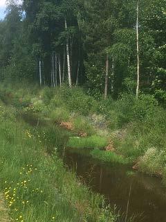 Sivu 9 Lummintien ja Merenheimontien yhdistävä kevyen liikenteen väylä ja viheralue.