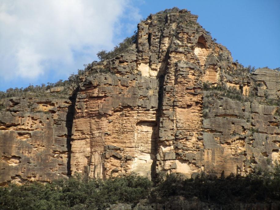 poistuvat metsään ennen kuin pääsemme kuvausetäisyydelle. Metsähelmikkäitä on täälläkin. Reittimme kulkee seuraavasti: Coonabarabran Gulgong Mudgee Capertee Glen Davis Lithgow.