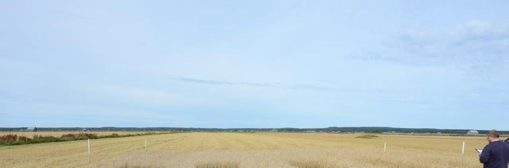 Kokeiden perustaminen ja hoito - Viljelijät muokkasivat ja kylvivät koeruudut (9-10.5.