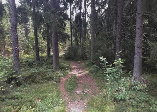 Osallistujien tulee myös käsitellä suunnitelmansa vaikutuksia alueen nyky laan ja moninaiseen käyttöön.