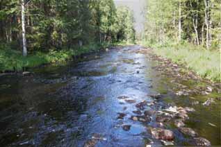 Uoma on osin kallioinen, ja pohjan kivikoko on pienpoikasalueeseen liian suuri. Pohjakivet ovat sammalen peitossa (vesisammalen peittävyysprosentti on lähes sata).