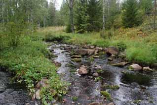 kunnostustarve on ensisijainen jatkotoimenpiteet kaivinkoneella tehtävä