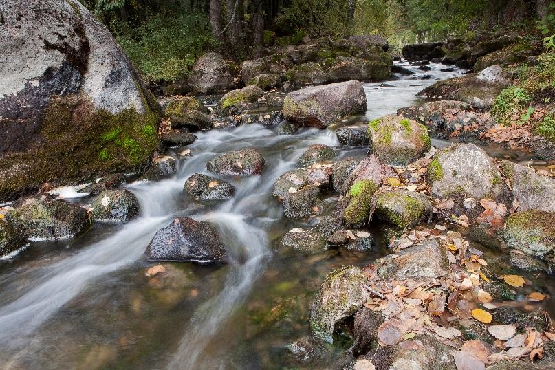 luonnontilaisen tai luonnontilaisen kaltaiseksi muuttuneen pienveden tilaa ei saa