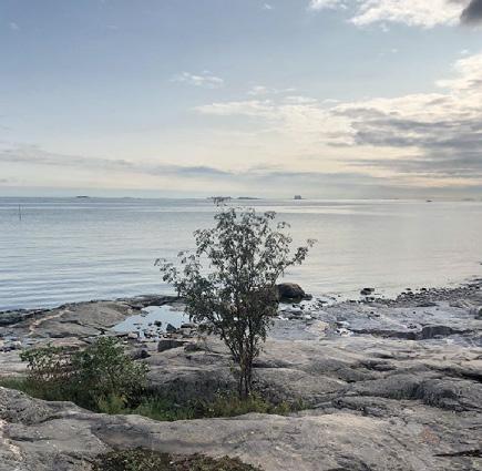 visitespoo.fi/espoon-rantaraitti ja citynomadi-app 