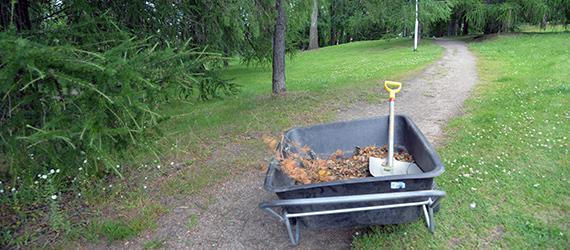 Miten saamme terveyskeskuslääkärit