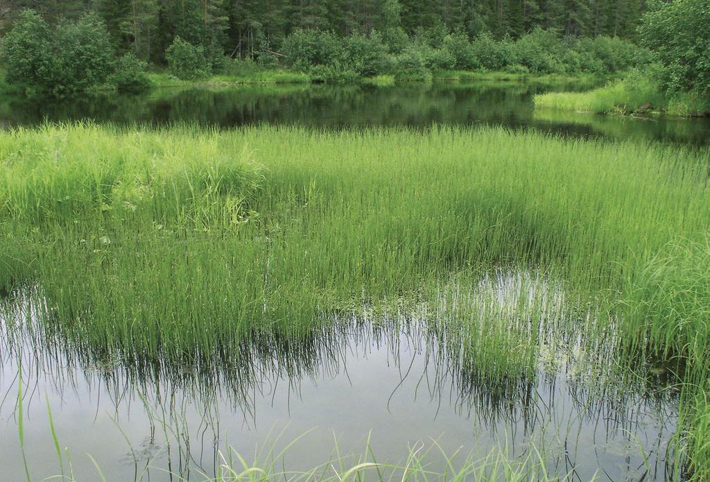 Oulangan kansallispuisto, Kuusamo.