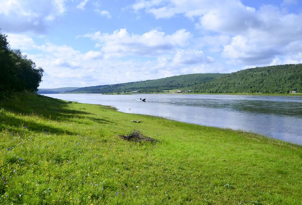 Pihtiranta, Utsjoki. Kuva: Marjut Kokko kangasmetsien ja lehtojen kasvillisuutta, mutta ne ovat puuttomia.