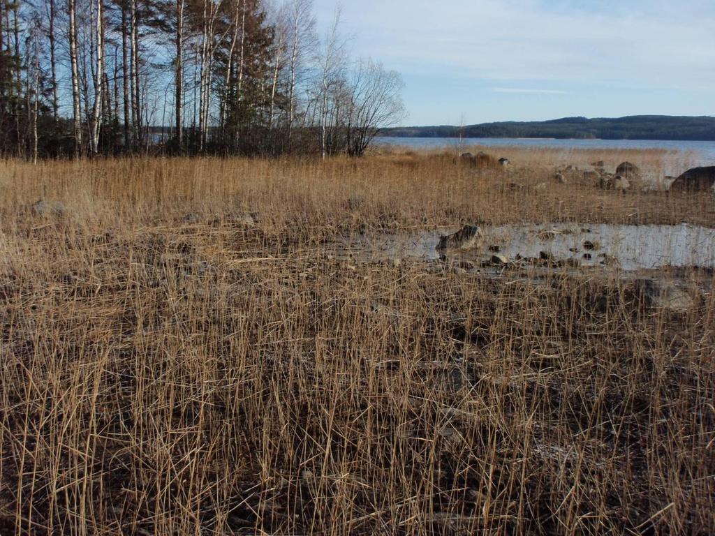 FCG Finnish Consulting Group Oy Luonto- ja maisemaselvitys 7 (11) 3.5 Uhanalaiset luontotyypit Selvitysalueen uhanalaiset luontotyypit keskittyvät Kölkynniemelle, missä on ruoho- ja kangaskorpikuvio.