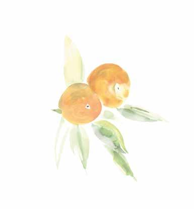 Mandariini Oil Ultime Essential Oil Energizing virkistävät aromaattiset ylang ylang- ja mandariiniöljy piristävät väsyneitä ja stressaantuneita aisteja.