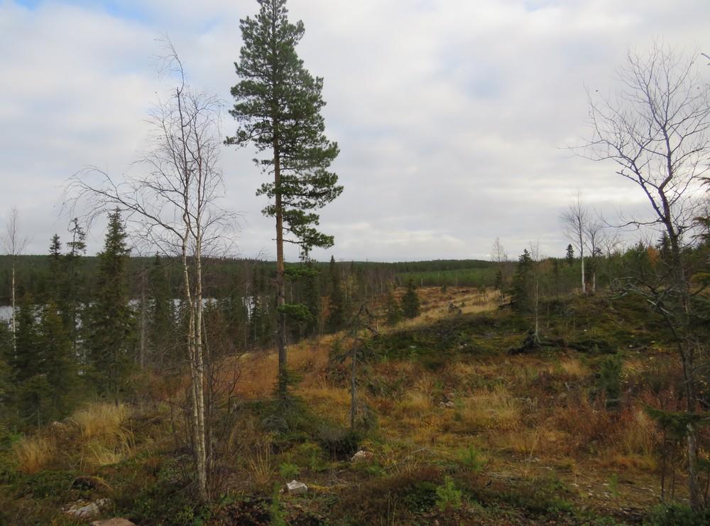 Länsiosassa sijaitsee Isokenkäisten klubi -matkailuyritys, johon kuuluu useita rakennuksia.