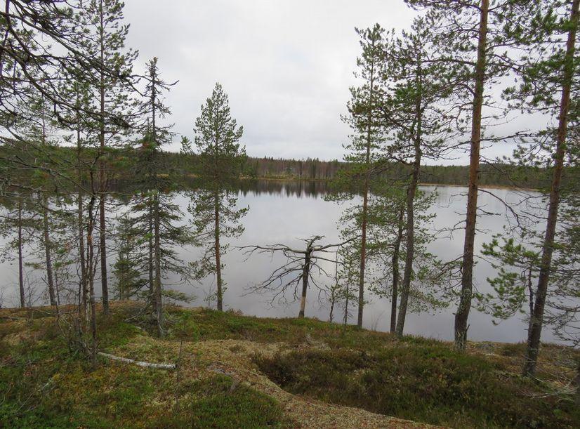 7 8. Kallioista Yli-Heikinjärven rantaa pohjoiseen. 9. Yli-Heikinjärven rantatörmän päältä on paikoin näköala joillekin vaaroille. Kuva itään.