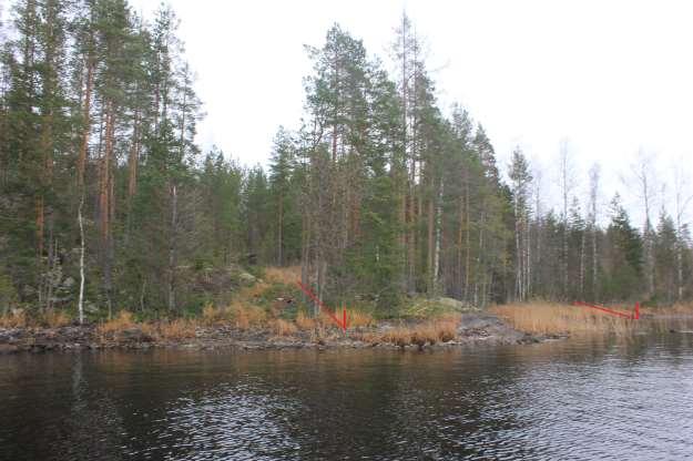 2 LÄHTÖKOHDAT 6 2.1 Selvitys uuden rakennuspaikan oloista 2.1.1 Alueen yleiskuvaus Suunnittelualueet ovat voimassaolevassa osayleiskaavassa RA ja M alueita. 2.1.2 Luonnonympäristö Suunnittelualueella on laadittu luonnonympäristön selvitys osayleiskaavan laadinnan yhteydessä.