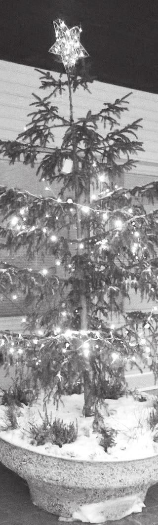 KIITOS KULUNEESTA VUODESTA JA HYVÄÄ UUTTA VUOTTA! Aloitamme taas päiväkahvit tuttuun tapaan, Paavolan seurakuntatalolla kello 12.00 alkaen, to 31.01.2019.