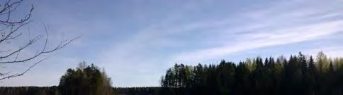 - Lummelampi- ja täplälampikorennon lisääntymispaikka, Dir.IV (luo-2/3.16) (kaava-alueen ulkopuolella) - Levonkärjen ravinteinen rantaneva, VU suopunakämmekkä ja RT hoikkavilla (luo/3.
