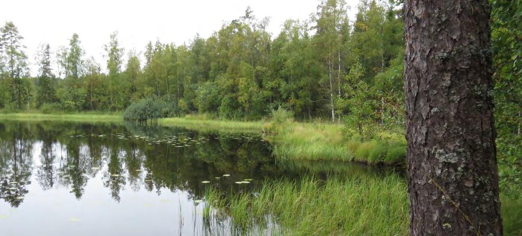 Janakkalan Harvialan ranta-asemakaavan muutokseen liittyvät luontoselvitykset 2012 2014 arvokkaat elinympäristöt pyritään jättämään kokonaan kaikenlaisten hakkuiden, kaivutoiminnan ja rakentamisen