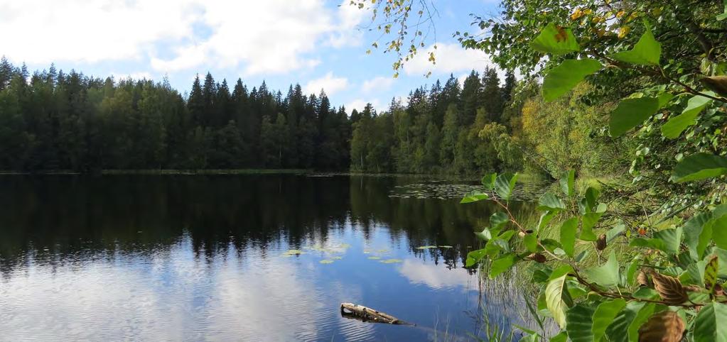 Janakkalan Harvialan ranta-asemakaavan muutokseen liittyvät luontoselvitykset 2012 2014 6.2. Päätelmät ja suositukset Mustavirran rantametsät ovat olleet voimallisessa metsätalouskäytössä ja suot ovat ojitettuja.