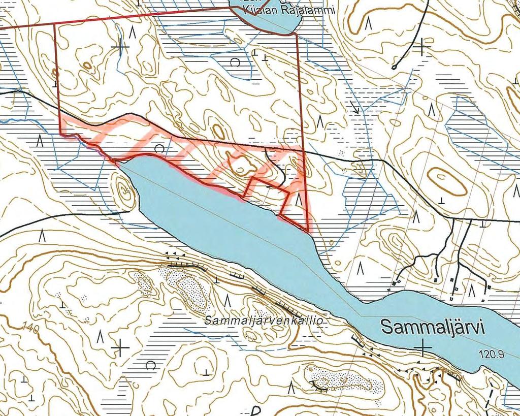 Janakkalan Harvialan ranta-asemakaavan muutokseen liittyvät luontoselvitykset 20
