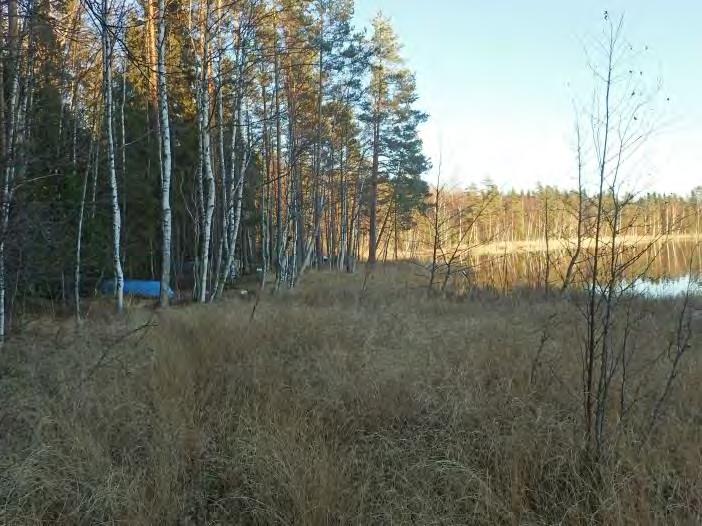 Järvi on ollut ilmeisesti jokseenkin samoilla tasolla ikänsä, ehkä hieman transgressiivinen eteläosiltaan. Järven etelä-lounaisranta on kivikkoista moreenia paikoin hyvin kivikkoista.