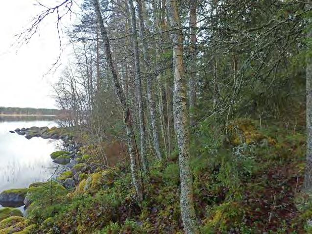8 Isojärvi on Kuninkaankartalla v. 1796-1805 nimellä Iso-Saloisjärvi ja pitäjänkartalla v. 1842 nimellä Saloisjärvi.