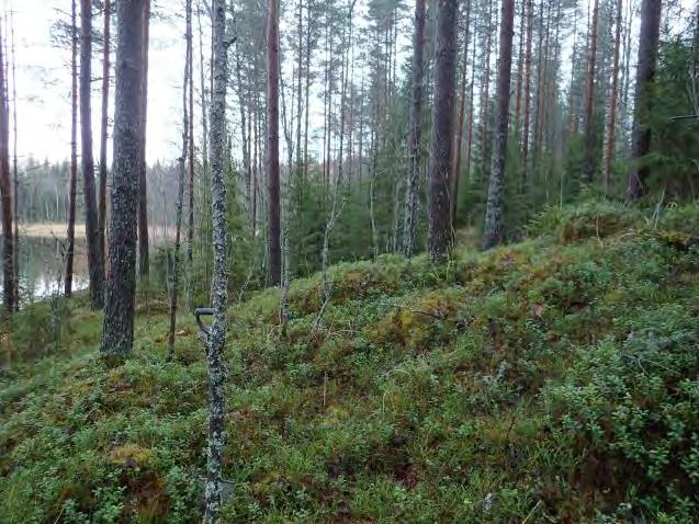 Järvi on ollut ikänsä transgressiivinen tai ainakin sen vedentaso on ollut lähellä nykyistä. Järveä vaikuttaa hieman lasketun. Lasku-uoman suussa on Kirinmylly joka on merkitty v.
