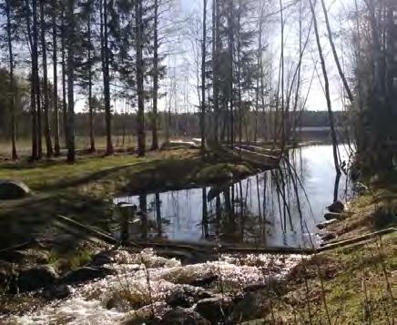 Alueella ei sijaitse myöskään maakunnallisesti tai paikallisesti arvokasta rakennuskantaa. Suunnittelualueelle on laadittu muinaisjäännösinventointi marraskuussa 2015 (Mikroliitti Oy / Timo Jussila).