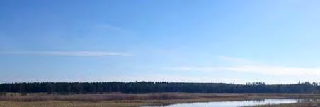 IV lisääntymispaikat (luo-2/1.8) - Mustasuun luhta, NT luontotyyppi, mahdollinen metsälain 10 mukainen kohde (luo/1.9) - Haitinlahden runsaslahopuustoinen metsä, NT luontotyyppi (luo/1.