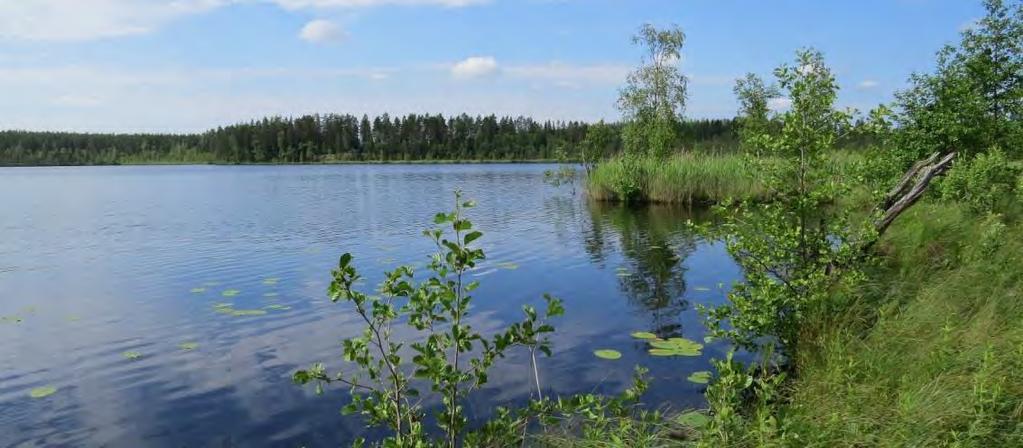 Janakkalan Harvialan ranta-asemakaavan muutokseen liittyvät luontoselvitykset 2012 2014 Kesijärven pohjoisosan rantasuo (kartta 8, kohde 15) Suon eteläosassa koivut ja kuuset kasvavat mättäillä ja