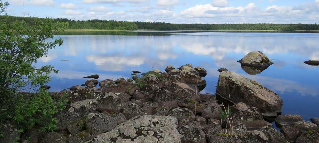 Janakkalan Harvialan ranta-asemakaavan muutokseen liittyvät luontoselvitykset 2012 2014 soistuneet umpeen, eikä niiden avaaminen lisäisi merkittävästi puiden kasvua.