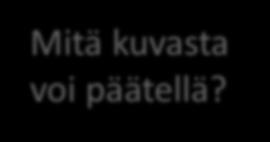 1984 Mitä kuvasta voi päätellä? X.