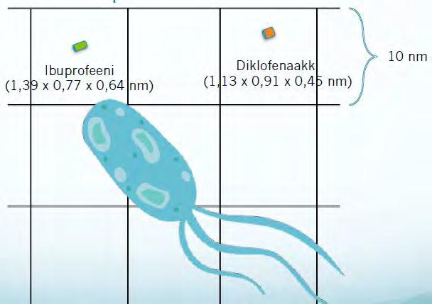 Mahdollisia käsittelymenetelmiä Suodatusmenetelmät Hapetus Sitominen väliaineeseen (aktiivihiili) MBBR Entsyymimenetelmät