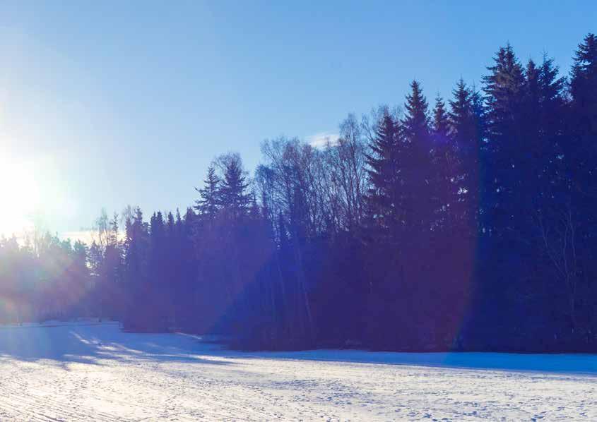 Ympäröivä Tapiola on puutarhojen kaupunginosa kaikkina vuodenaikoina.