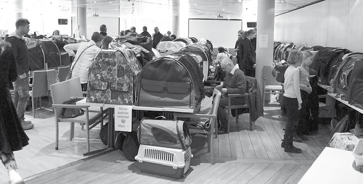 050 374 0300 Rahastonhoitaja Nettisivujen mainosten laskutus Kasvattajajäsenten palvelumaksu Marjo Klankki Kulmalantie 4, 28130 Pori puh. 044 541 0071 satakissa.rahat@gmail.