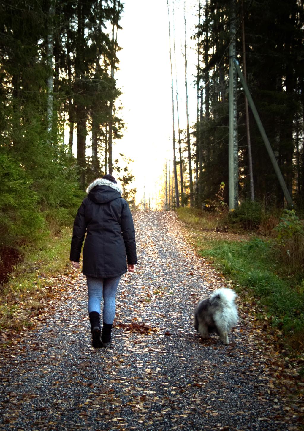 Luomassa parempaa ympäristöä meille sekä eläinystävillemme Me Suomen Eläintuhkauksessa kannamme ympäristövastuumme.